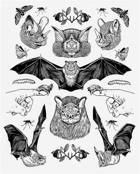 bat tattoo drawing|More.